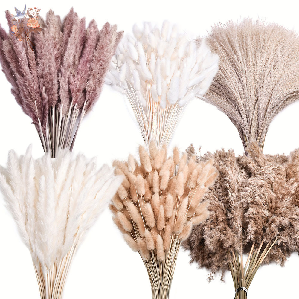 Pampas Grass Decor - 320개의 혼합된 푹신한 대형 팜파스그래스 드라이플라워